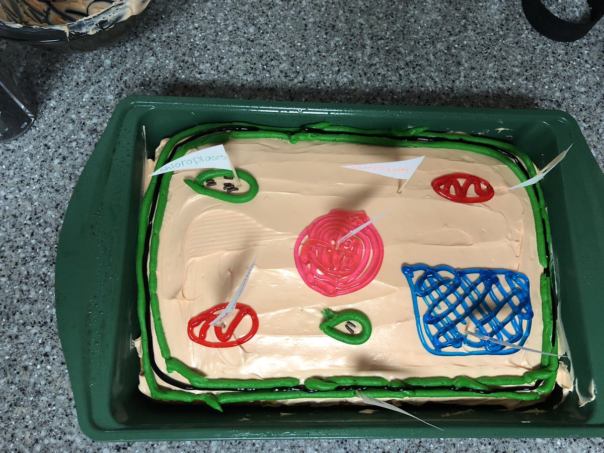7Th Grade Plant Cell Cake - 31 Best Cell Cake Ideas Cells Project Cell Model Animal Cell : Easy animal cell cookie from adventures in mommydom.