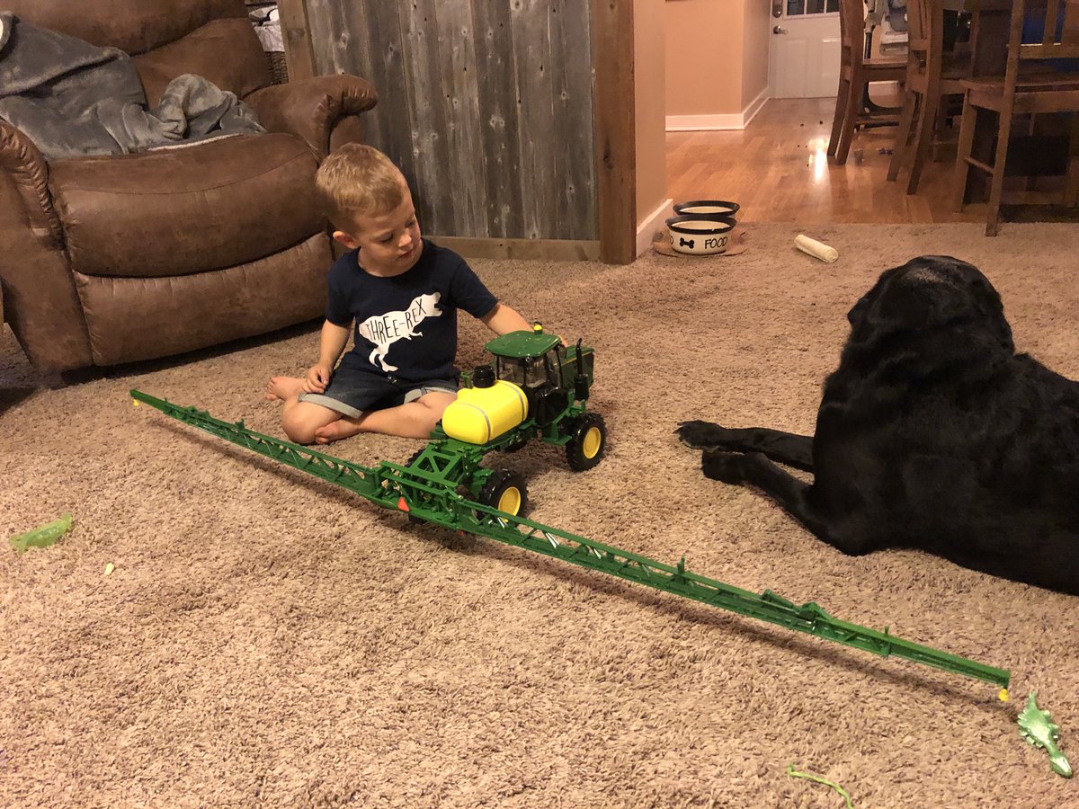 cplunk4's tweet photo. I was wondering why his moms flowers on the kitchen table were dying.  #dicamba. https://t.co/2UtRHZFkip