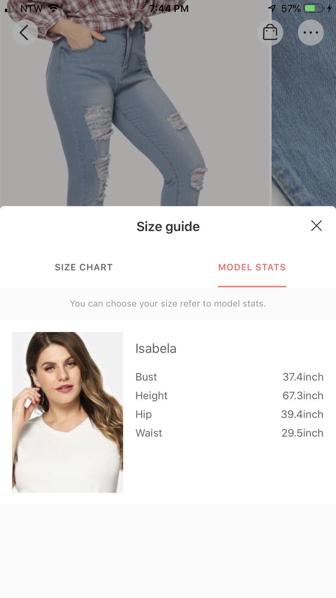 Plus Size Model Measurement Chart