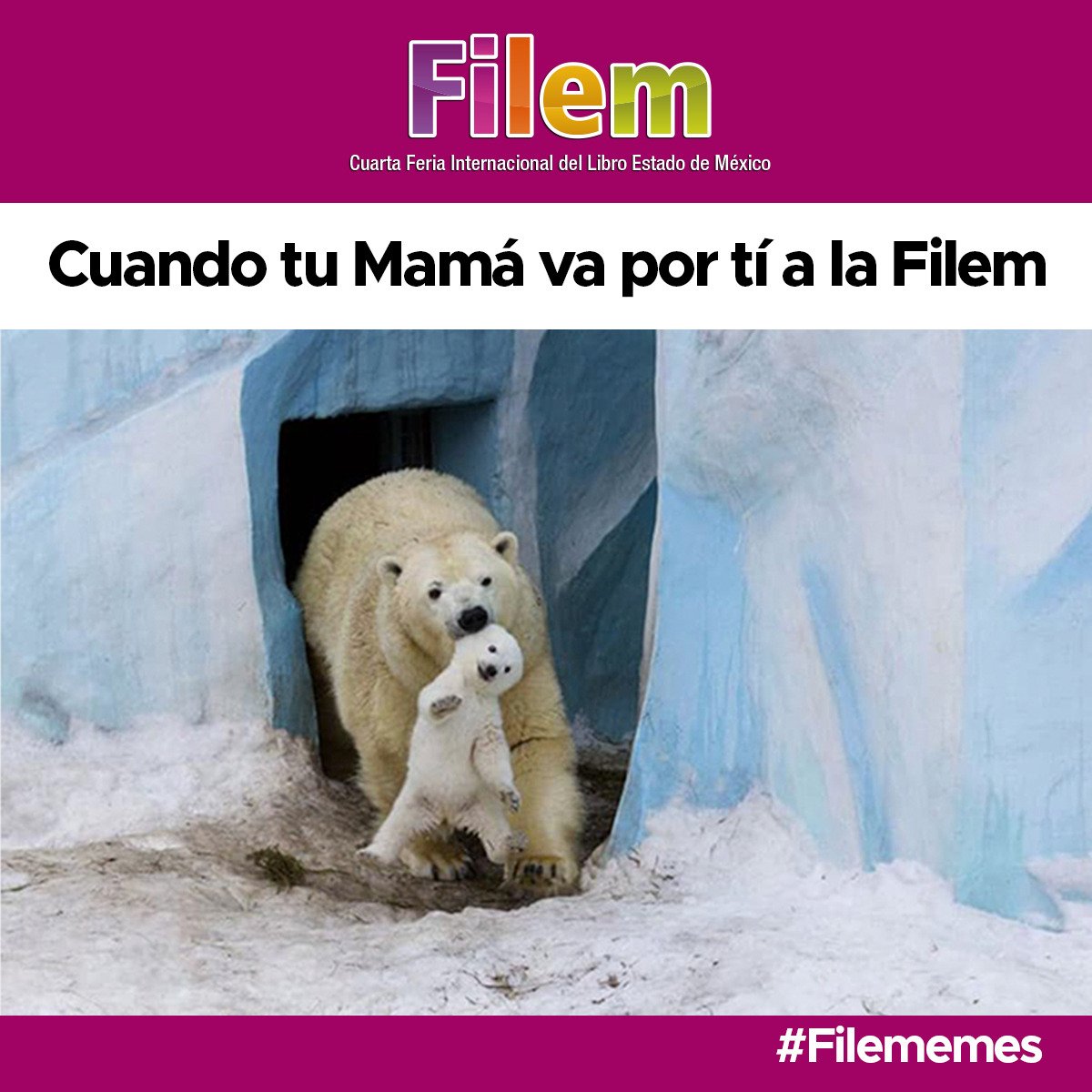 Filem_Mx's tweet photo. ¡Qué triste! #Filem2018 #LibroVivo https://t.co/1P262yEBjA