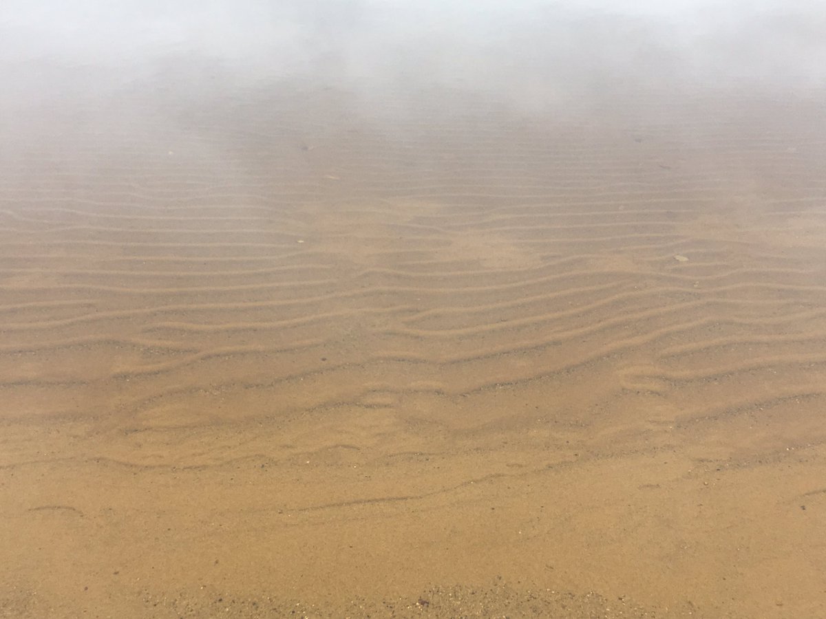 Lynndylou5775's tweet photo. ๐ Lake Superior, Pictured Rocks State Park, Sable Falls. U.P., MI #myphotography #nature #chasingtextures #chasingcolors https://t.co/Byt3f4gx7q