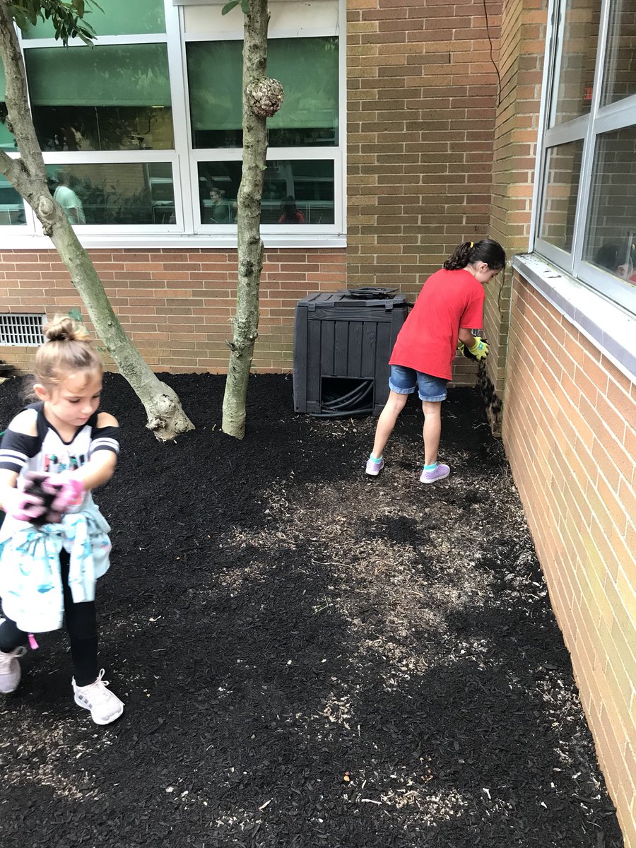 leslieulrich14's tweet photo. A great day cleaning up the courtyard at our amazing school with my husband, his crew and good friends. These 3 Barton girls worked hard to beautify their school. Thank you #secondnaturelandscaping, @megkaretny and @mom2myava. @ClaraBartonElem @MrSweeneyCBE #WeAreClaraBarton https://t.co/csCLEhWrMm