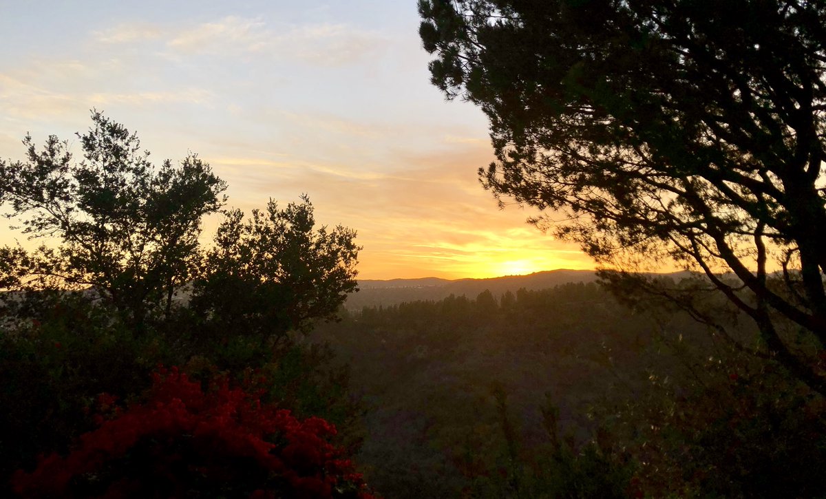 CoachTonyUCLA's tweet photo. Blessed w/ a beautiful home office view of the sunset ๐
#filmroom #callcenter #alwayshappyhour ๐ https://t.co/AkBmylH268