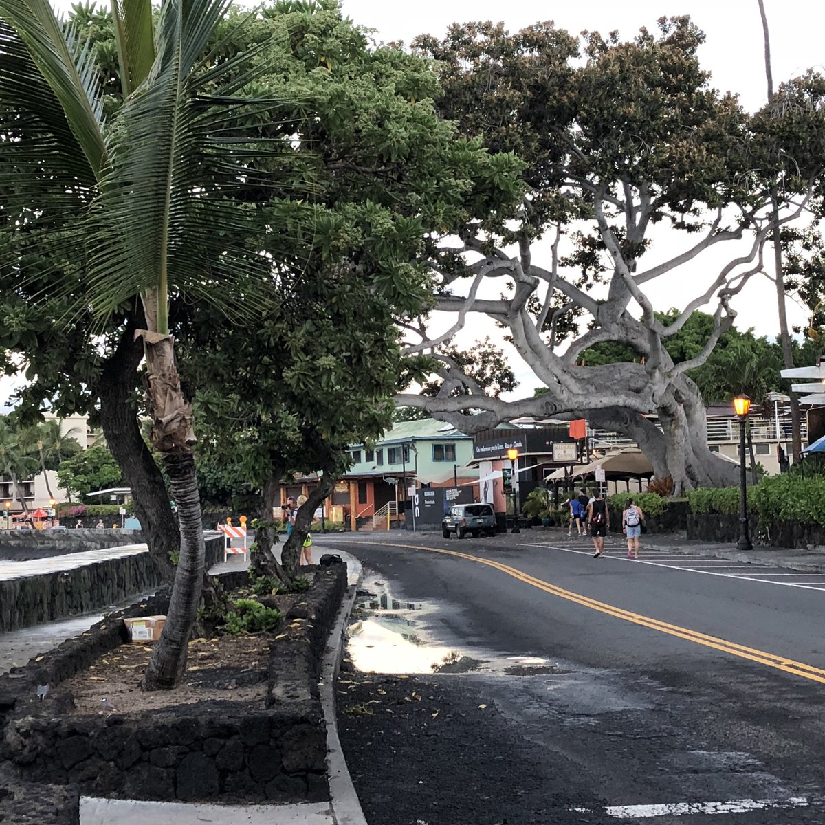 IMTrinews's tweet photo. SUNDAY MORNING! Nice and quiet at 6:00 AM 😌
.
📸 #ironmannews #Konapier #digbebeach #imwc #imwc40 #kona2018 #Tattoooftheday #aliidrive #triathlon⁠ ⁠⁠#LoveIT #photooftheday #hawaii #bigisland https://t.co/5xisKsPOdK