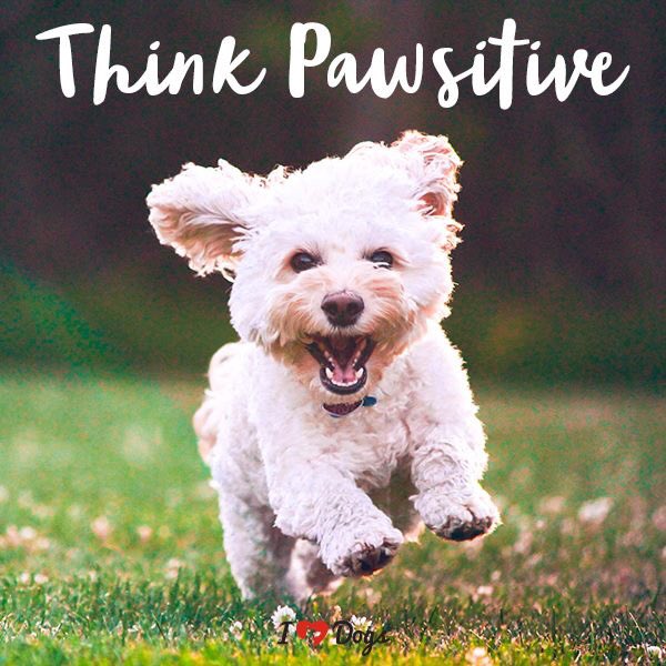 cadams050419661's tweet image. Just had to share this ref #Berena, happy Monday Berena gals and @catherinerusse2 #keepthefaith #bringbernieback @BBCHolbyCity