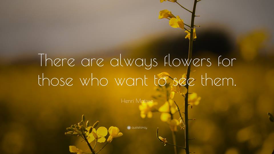 BrioHydroponics's tweet photo. Be positive and always look on the bright side. No matter how hard life becomes, make sure you never lose hope. #MondayMotivation
#MondayThoughts #StayPositive #Quotefancy #KeepTrying #BrioHydroponics https://t.co/vfuy1JrvLl