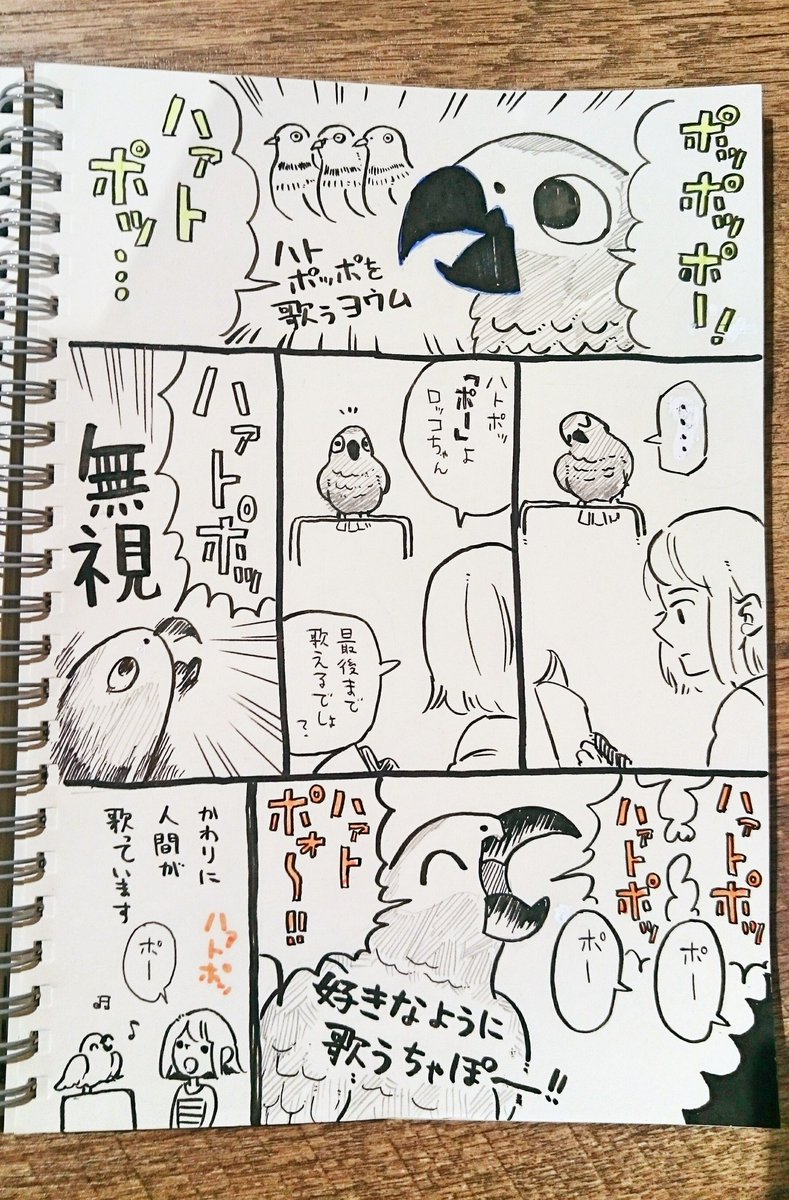 待ち時間にアナログ漫画
#ヨウムのロッコ #ヨウム 