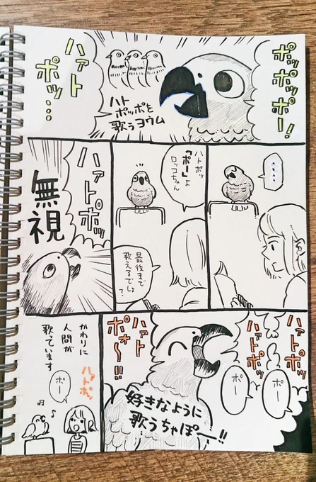 待ち時間にアナログ漫画
#ヨウムのロッコ #ヨウム 