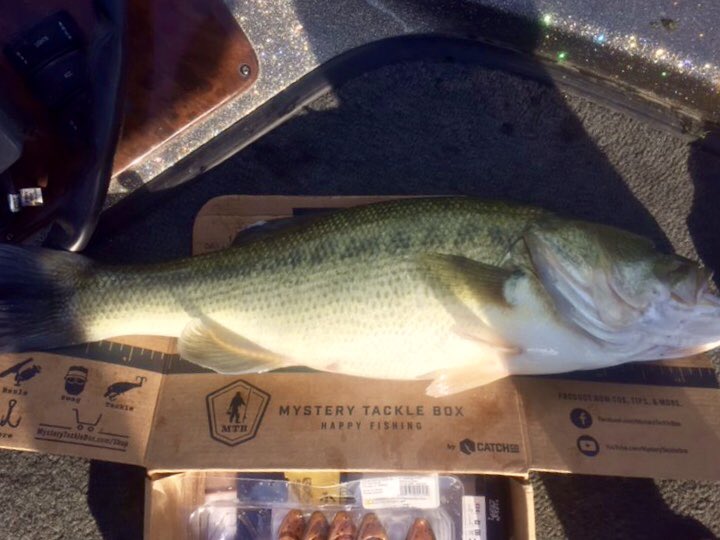 LisaJennings24's tweet photo. Followed by this hawg. @MysteryTackleBx https://t.co/ap3Ul9ZMpt