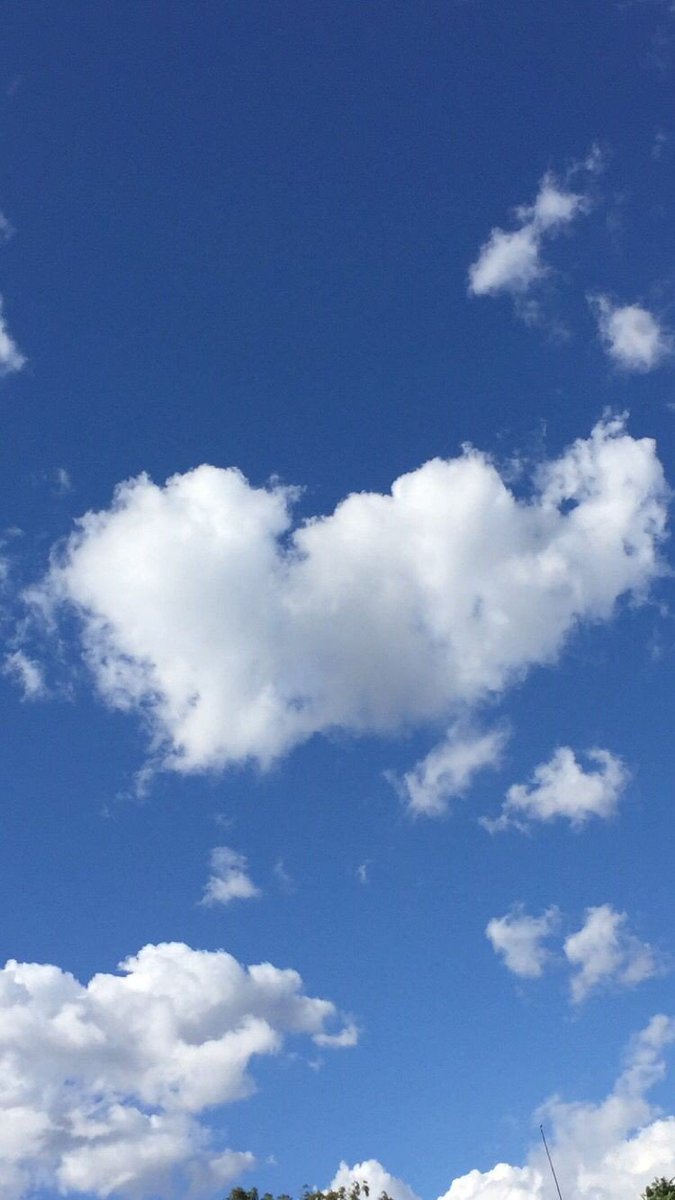 🌥 tweet media