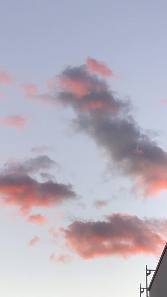 🌥 tweet media