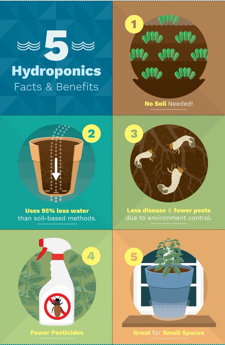 BrioHydroponics's tweet photo. Some Benefits of Growing Hydroponically 🌿🌿
For more info, visit https://t.co/WKlalMmA2P #BrioHydroponics
.
.
.
#hydroponics #farming #groworganic #organicfarming #benefits #growfood #houseplants #commercialhydroponics #agriculture #hydroponicstraining https://t.co/j9kCAvEhWm