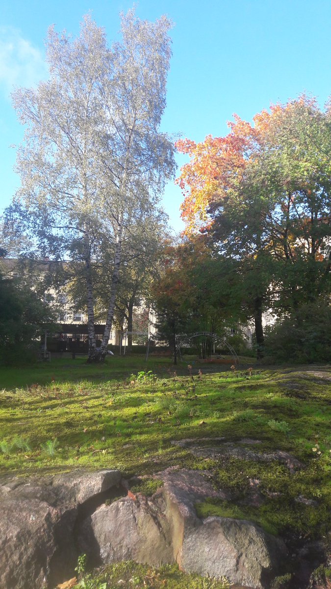 <a href="/mank56/">Mank56</a> <a href="/cecynoguez/">Cecilia Cruz Noguez</a> @SamesCarolyn <a href="/ulad1952/">Владимир  Пономарев</a> <a href="/KwizkingAnthony/">Anthony Fitzpatrick</a> <a href="/guiller25136814/">Guille 39K #Csi N Y.</a> <a href="/MCal54/">Margarita</a> <a href="/tapsakooo/">Tapsa Kooo ♊️</a> <a href="/McristyH21/">Cristy</a> <a href="/joltrexomar/">Jol Trexo</a> <a href="/justhappywoman/">Angeliz</a> <a href="/ellenchristine/">ellen christine</a> <a href="/CCChampagne/">C.C. Champagne</a> <a href="/LewisShenita/">Frankie's aoto</a> <a href="/Sonya_rot/">Sonya T. Wise</a> Good morning, happy Monday 😃😍.