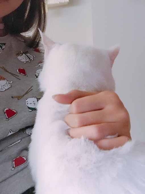 Twitterのコスプレ画像16