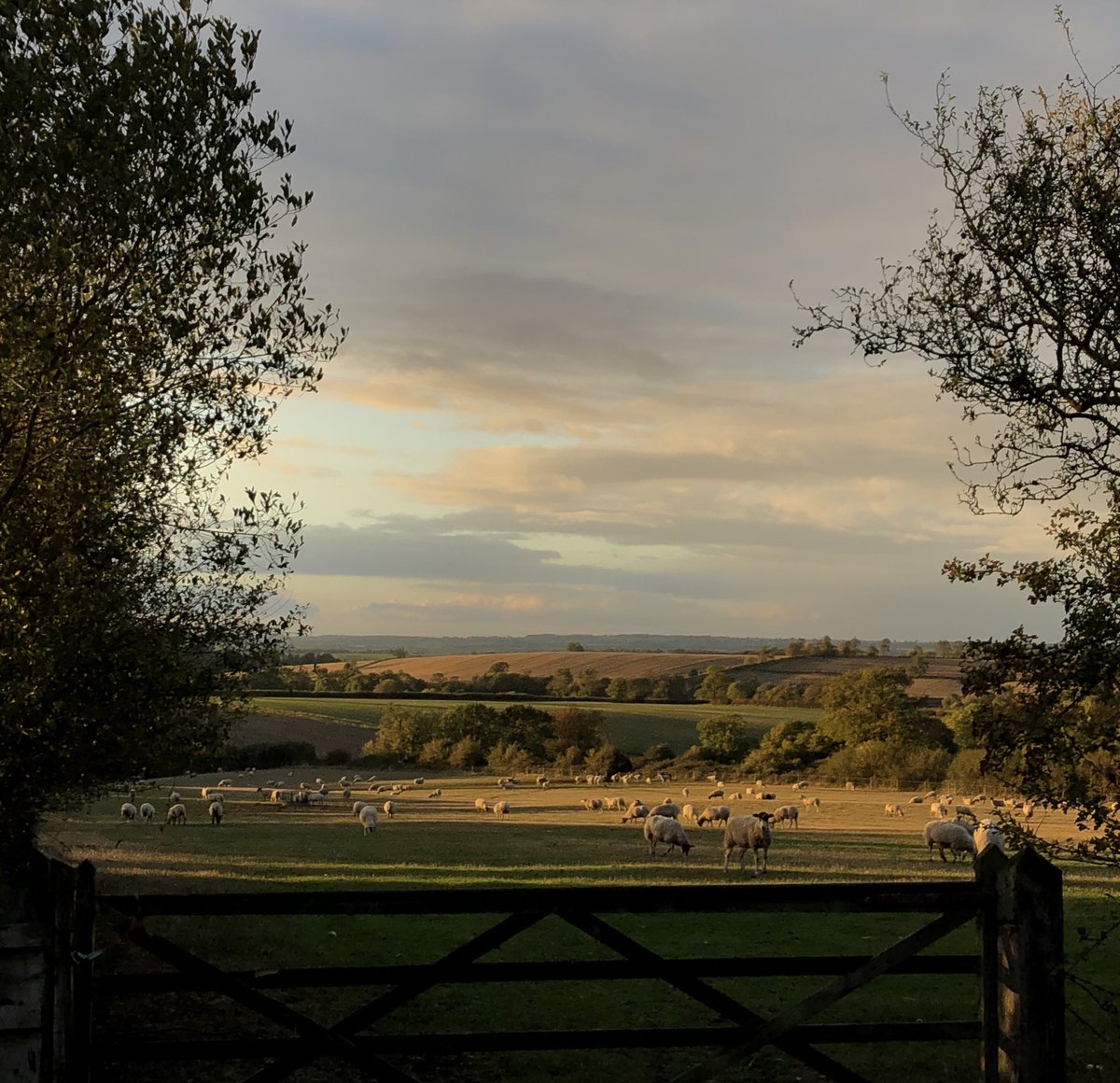 Hambleton Bakery tweet media