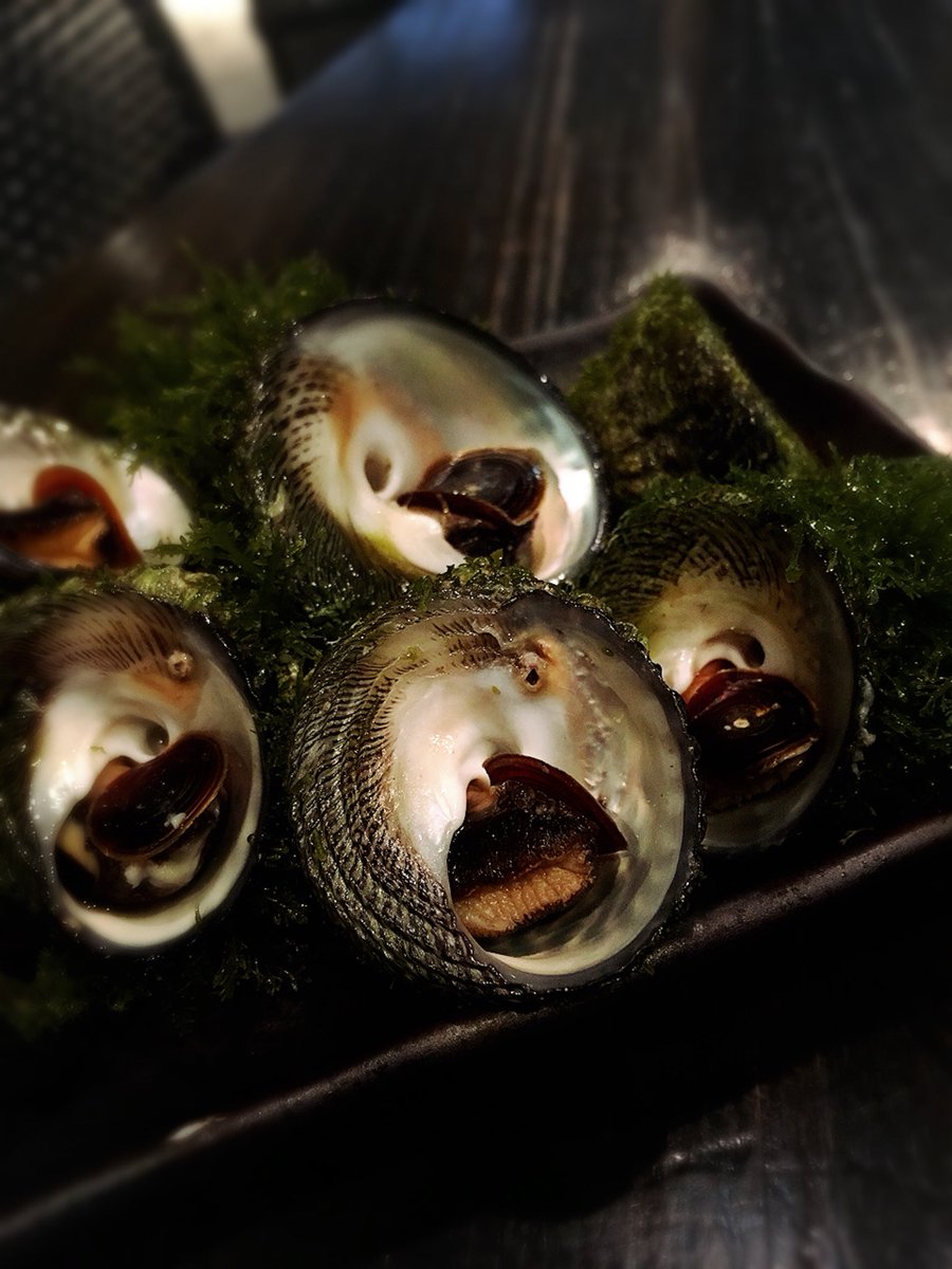 ミナ貝 ミナ貝