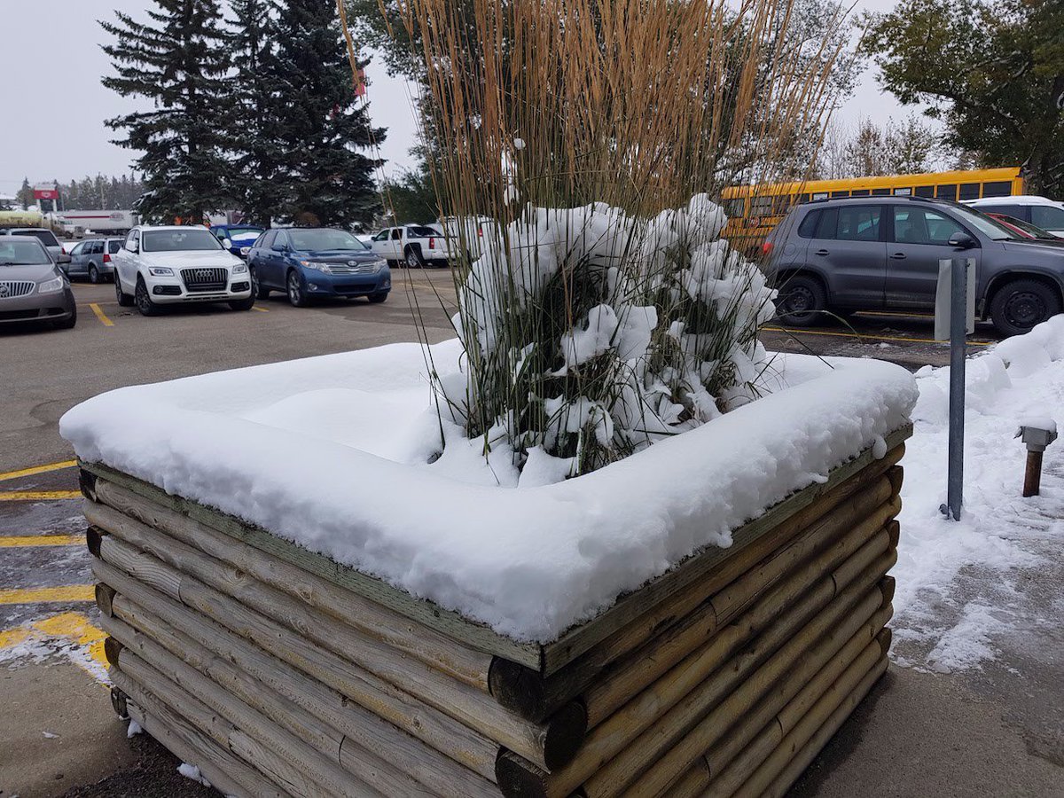 midletonschool's tweet photo. ❄️¡Con esta imagen tan invernal se ha levantado este lunes nuestra alumna Vega en #Alberta! ¡Y estamos seguros de que en #Canadá esta foto no será la única!
#añoescolarcanada #dreamcanada #english #midletonschool https://t.co/dNGBJ0ZvQO