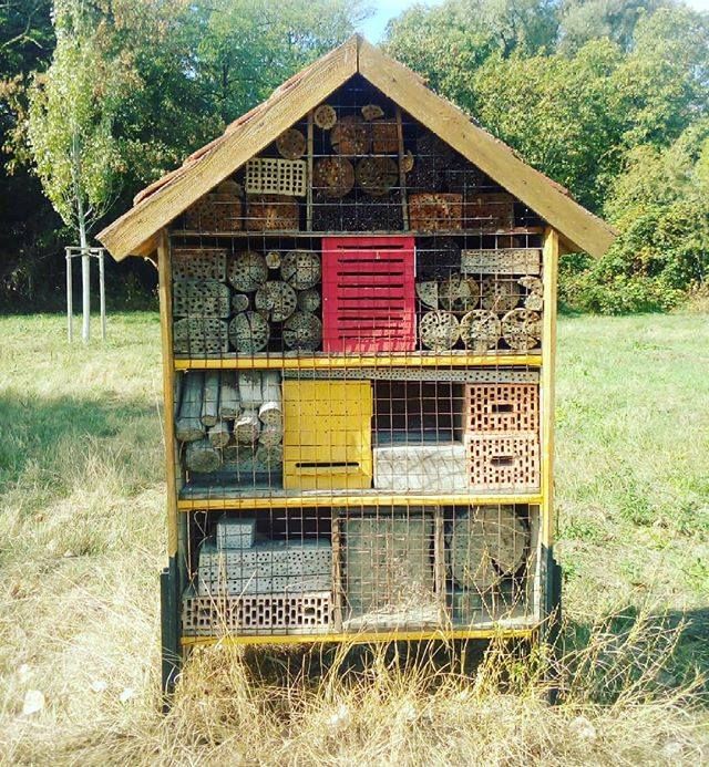 bodehase's tweet image. #Insektenhotel. Sehr beliebt in jüngster Vergangenheit. Vermutlich sogar notwendig. Inzwischen. #Papablogger #elternblog #elternblogGER #dadofone #einkind #lebenmitkind #papablog #dadBlogger #familienzeit #familienleben #familienalltag #familienblog #fami…