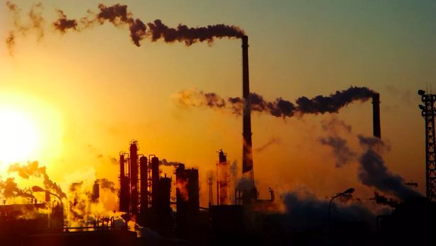 CoReorient tweet media