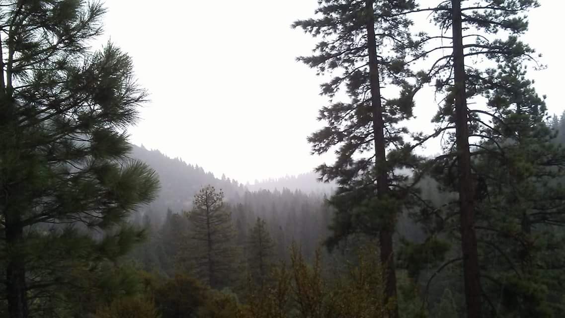 slighty_st00pid's tweet photo. Went on a amazing hike, with my brother more adventures to come https://t.co/NG71IZV0QV