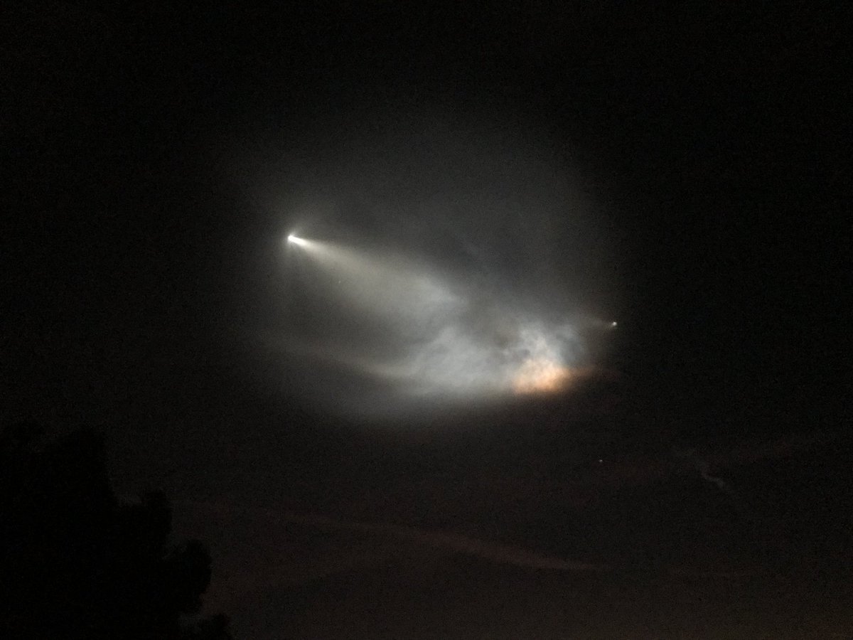 MustachioT tweet media