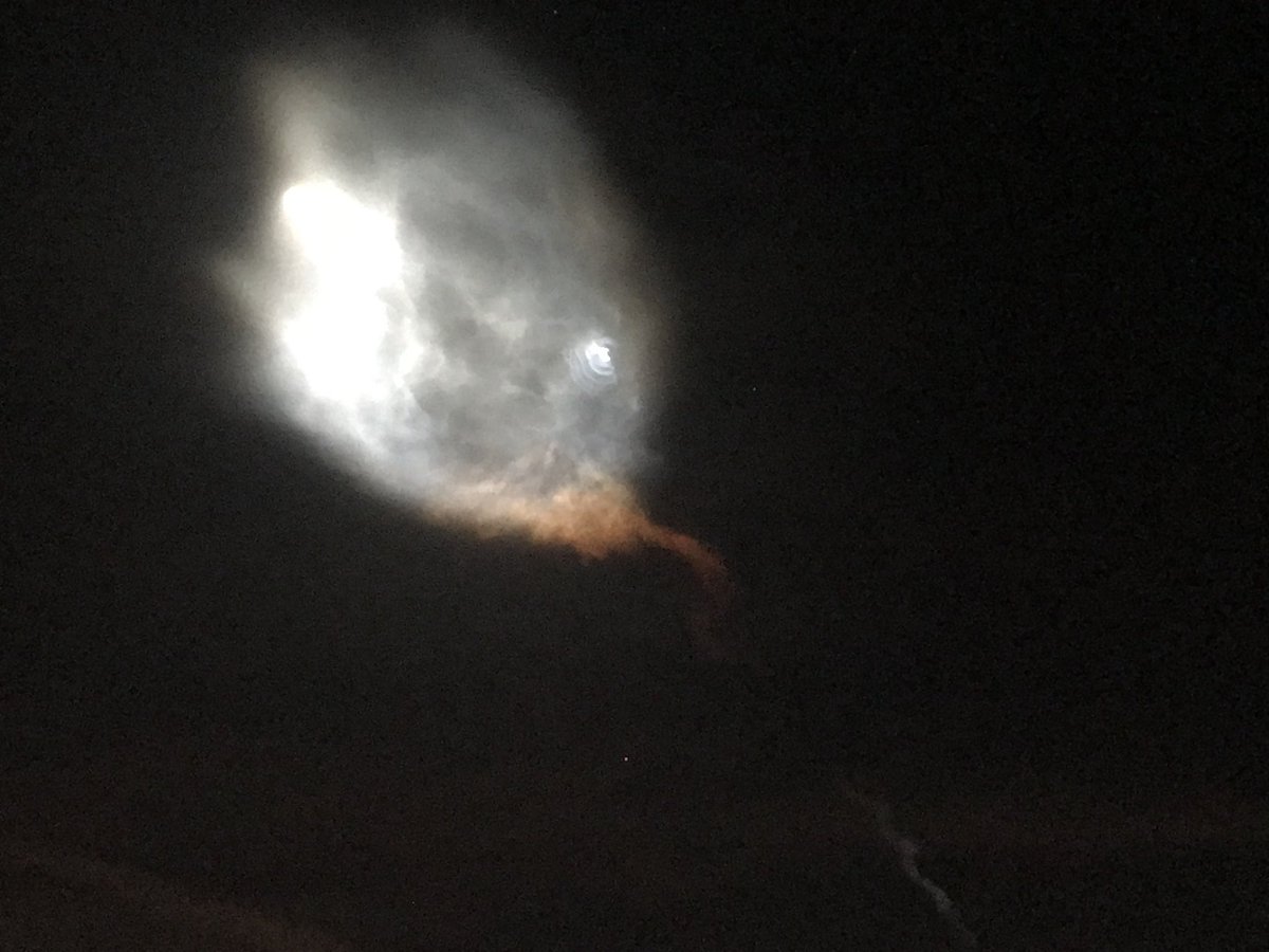 MustachioT tweet media