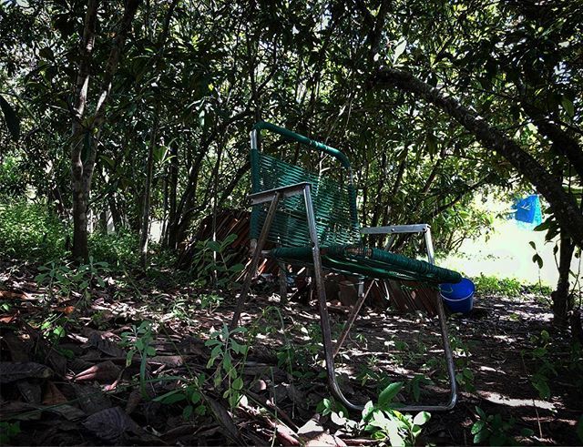 bluebleuazul's tweet photo. Less stress #descanso #olvido #rest #weekend #finde #findesemana #oaxaca #country #countrytime #travel #shorttravel #viaje #jardin #garden #rust #cansancio #calor #sombra #shadows https://t.co/Iog3bTYuF4 https://t.co/TsyxdrJCbS