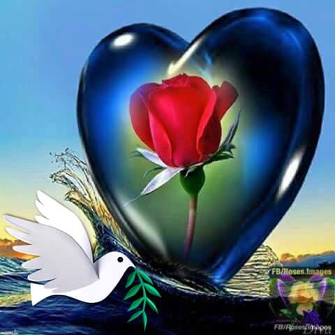   Happy Birthday Zaheer khan..... Hope good next hear 