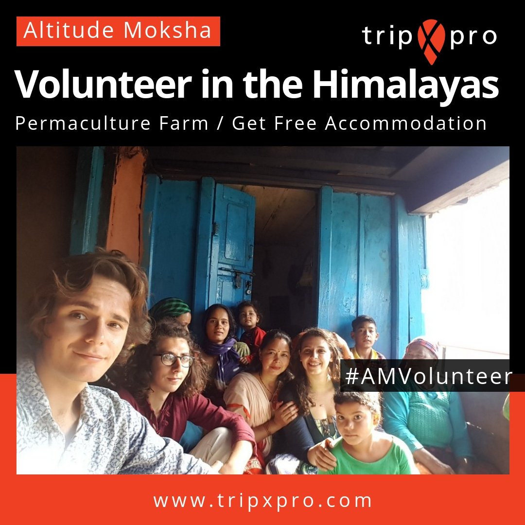 tripXpro's tweet image. Are you an adventure lover &amp;amp; looking for Volunteering opportunities in the Himalayas? 
Apply today to have an unforgettable experience at Altitude Moksha, while learning more about permaculture herbs farming, Uttarakhand's traditional culture and exploring the mountains.