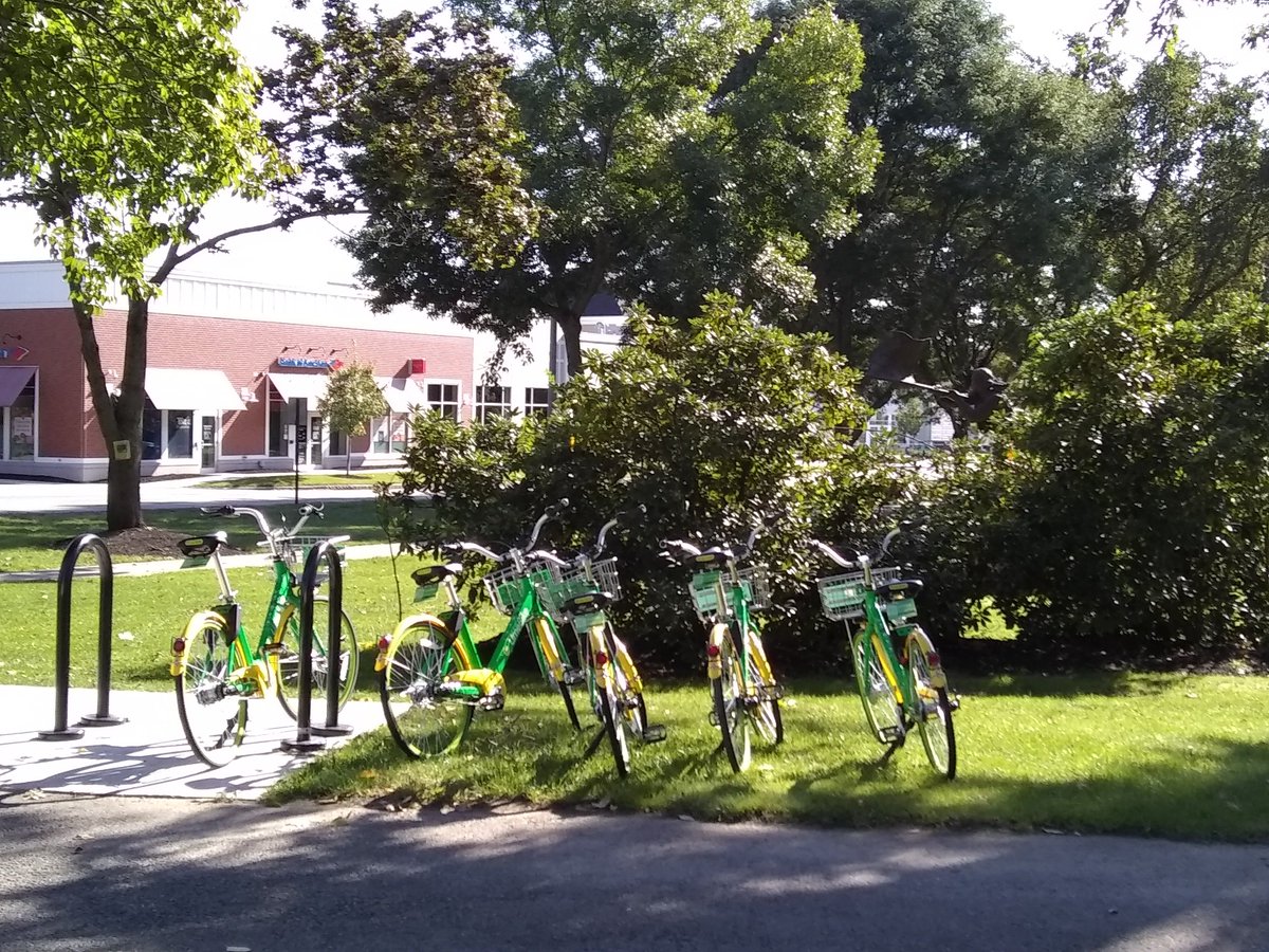BedfordMOF's tweet photo. #UseLessGreenTheRest for a livable climate by using a bike for your errands. Idea #71: Riding a bike keeps you healthy and does not contribute to carbon pollution. Bedford's bike share program can help. Amazing how much can fit in bike baskets and in a backpack! @MothersOutFront https://t.co/kxoaZ6yBGi