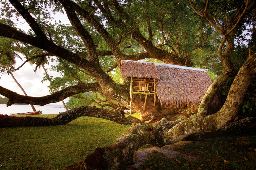 Pacific Traveller tweet media