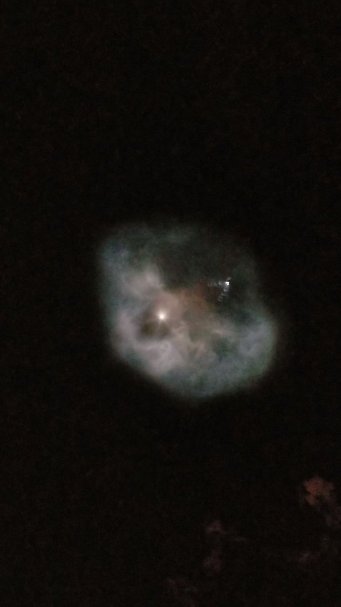 Rosalva Razo tweet media