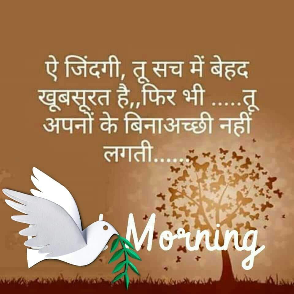 swaroops09's tweet photo. 😀 very good morning
Keep smiling &amp; be positive
Have a wonderful week ahead 😉😃 https://t.co/R6N265PWyq