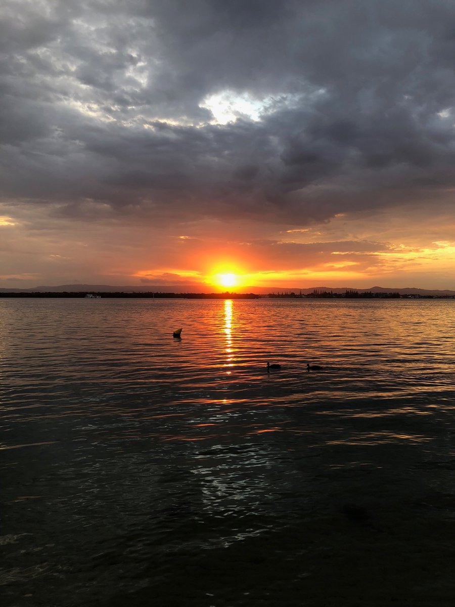 Check out the ducks ⁦@destgc⁩ #sthstraddie ⁦@TheBestSunsets⁩ ⁦@Queensland⁩ ⁦@Australia⁩ ⁦@TourismAus⁩ #sunset #duck #orange #wearegoldcoast