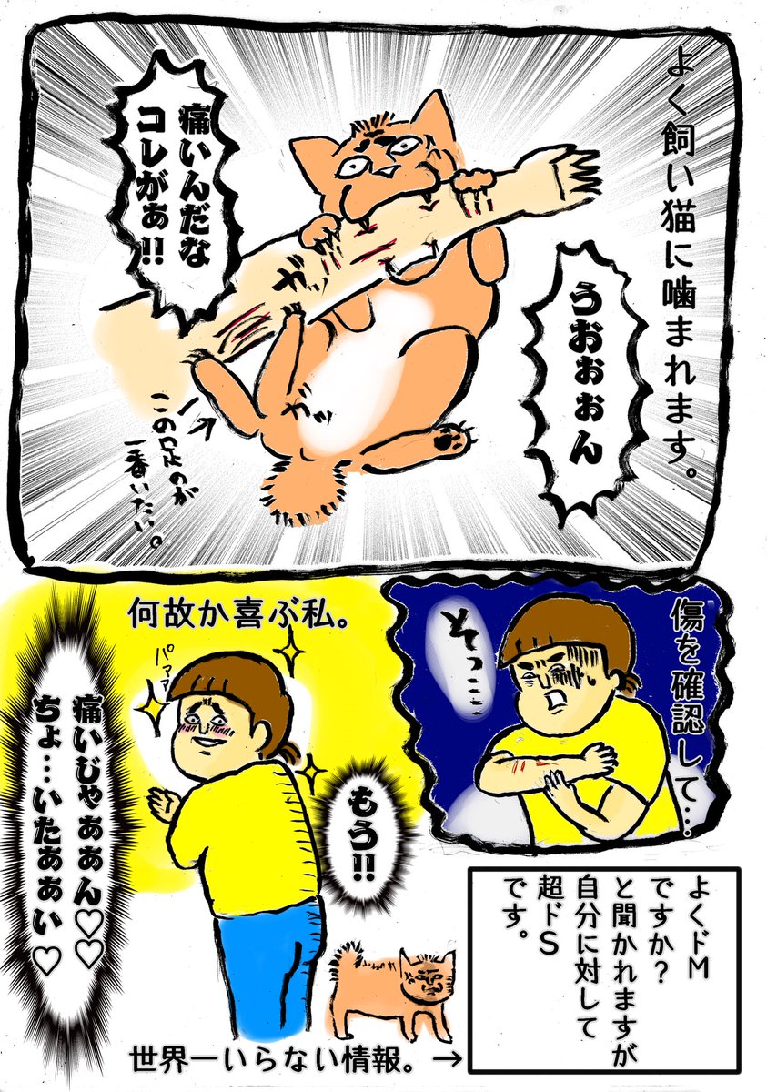 今更ですが、自己紹介しときます。笑 