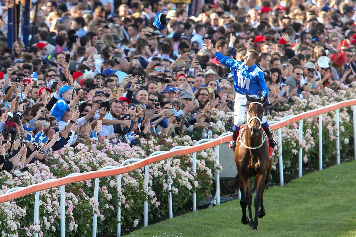 Ladbrokes Cox Plate tweet media