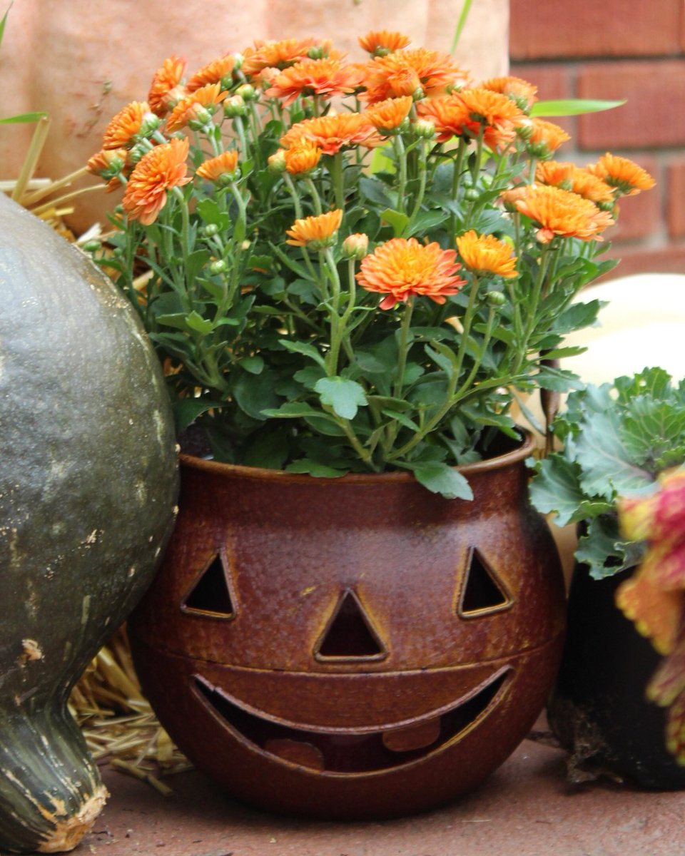 ACozyHome's tweet photo. Simple yet adorable fall decor! 🎃 #acozyhome https://t.co/ZzovP04kg9