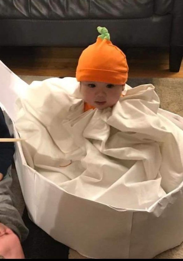 dumpling baby costume