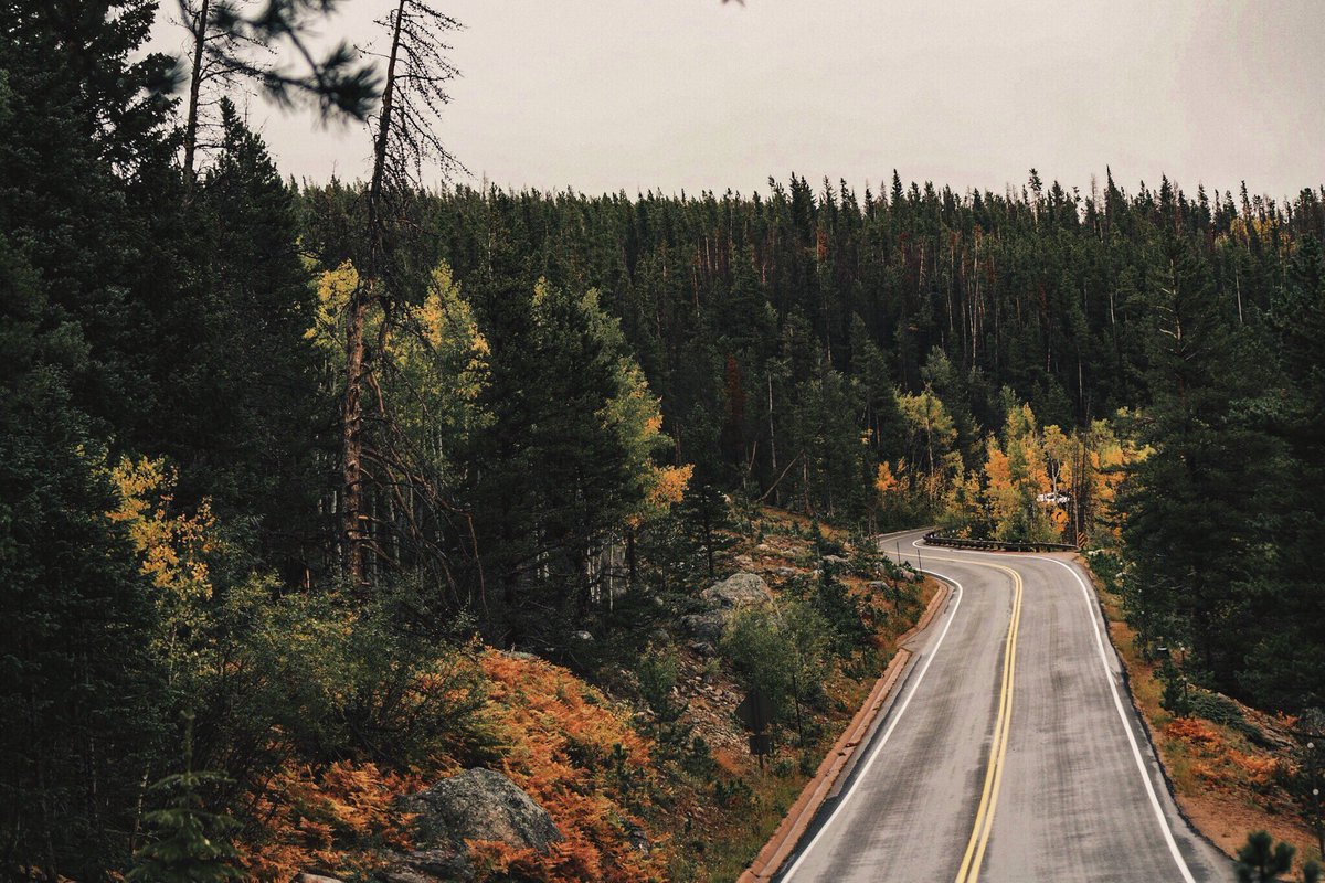 gabbybeth22's tweet image. fallorado