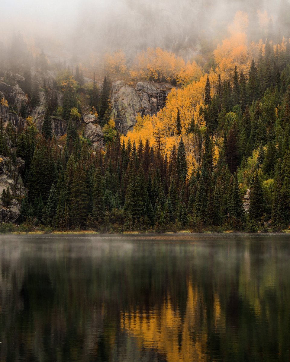 gabbybeth22's tweet image. fallorado