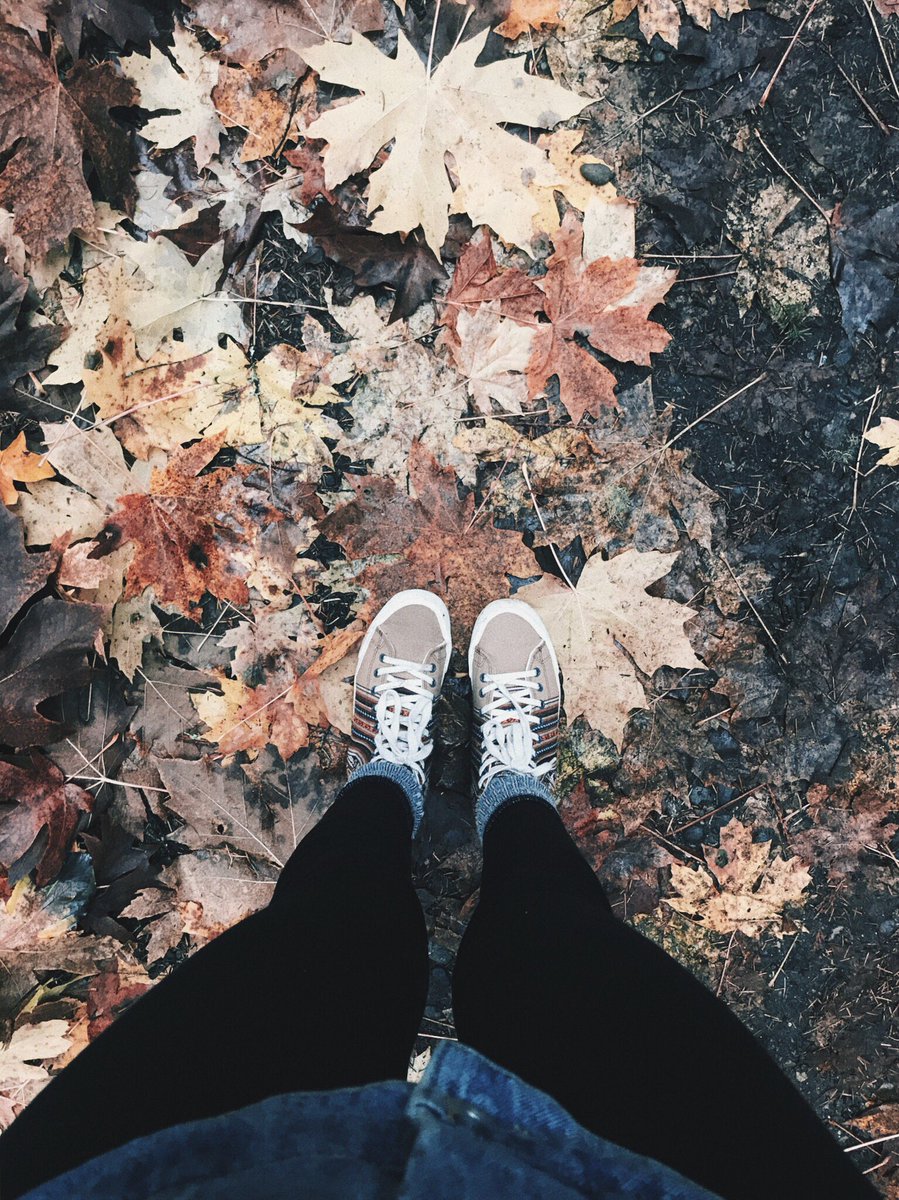 gabbybeth22's tweet image. fallorado