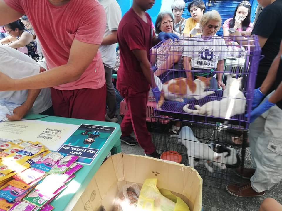 farsph18's tweet photo. A big thanks for the monetary donation from @rpcyph, we were able to help neuter thousand cats in one day.

And with the generosity of Ms. Maja Alexandra Boy, we were able to give away free dog and cat food, and collars during the CATstration Event of PPBCC last October 6, 2018. https://t.co/f7q3a2a1yP