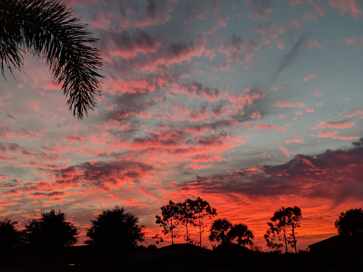 FlipFlopAgent's tweet photo. SW Florida sunset! My view while swimming in the pool. Make your move today or upgrade to your dream home. Contact me today 860 302-7137 and let's have coffee. #flipflopagent #sunsets #swflsky #exprealty #sell #paradise https://t.co/lppnhZcPow