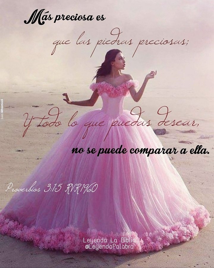 Leyendo La Biblia (@LeyendoPalabra) / Twitter Leyendo La Biblia (@LeyendoPalabra) / Twitter