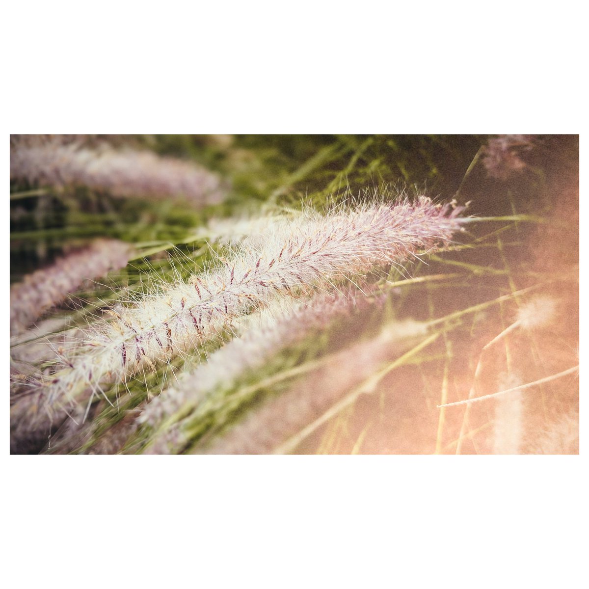 Drewgraphix's tweet photo. 365 Day Project, exploring colors and textures around us.
•
Shot on Google Pixel 2XL
•
110/365
•
•
#teampixel #vsco #vscox #madebygoogle #drewgraphix365 #oc #launchdsign #visualsoflife… https://t.co/CyOkevUOg7 https://t.co/30HmE5zuKI