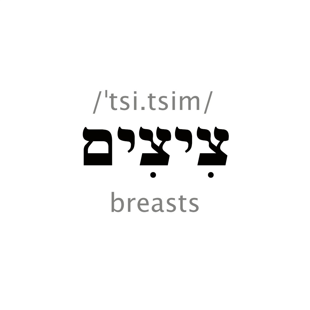 Hebrew Words on X: The most common word for breasts in Israeli Hebrew is  ציצים. The word is derived from Yiddish ציצע with the Hebrew plural suffix  -im. The Yiddish word is