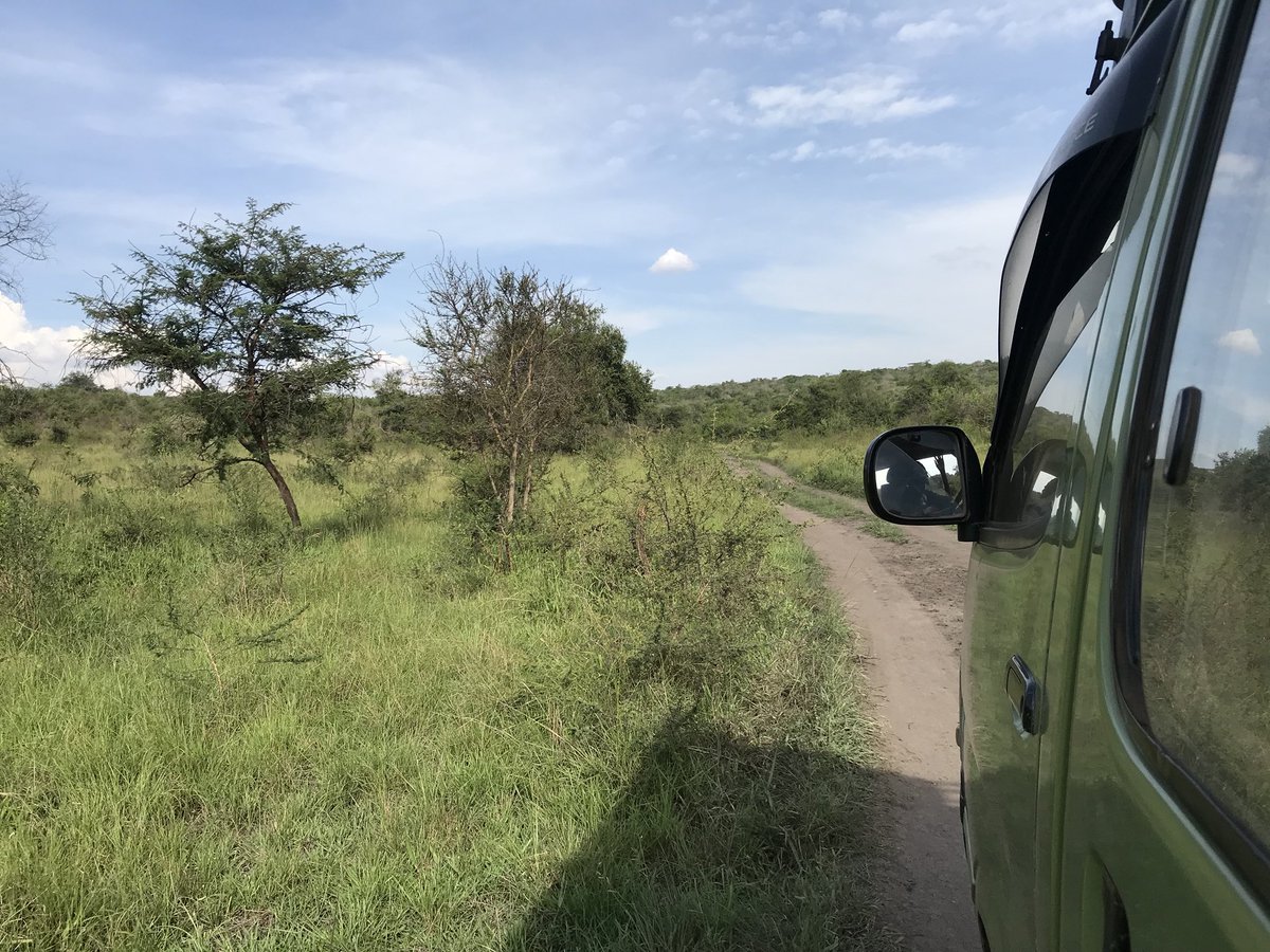 #BeautifulUganda while we explore uganda at  Lake mburo last evening with our guest 
See more at goexploresafaris.com