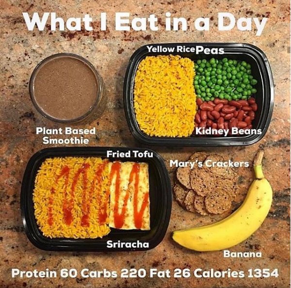🌱What I Eat in a Day🌱 (on a weight cut)*
Since starting my Plant Based Diet and weight cut, you guys have been asking me to share “What I Eat in a Day”!
eitproducts.com/2018/08/weight…