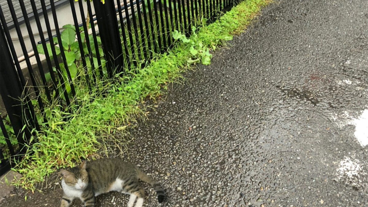 注釈付 だかいち登場人物ツィート一覧 Min T ミント