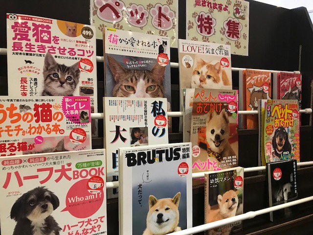 apreciomurai's tweet photo. うちのスタッフにペット飼っている人が多いので、勢いで作っちゃいました!(^^)!
【ペット特集】癒されますよ♪
＃ペット　＃癒し　＃ネットカフェ　＃アプレシオ村井 https://t.co/GYRsXhRL4R